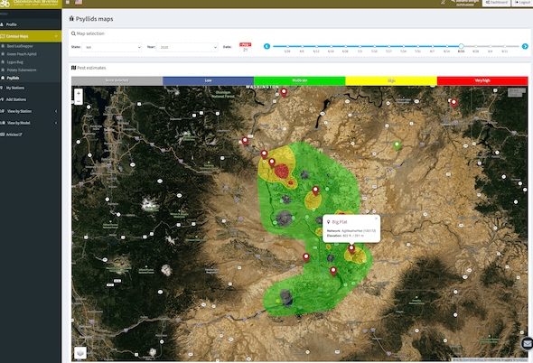 Potato土豆聊天软件支持中文吗？界面语言设置教程