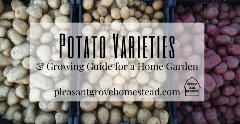 Potato土豆如何屏蔽用户？防骚扰操作指南