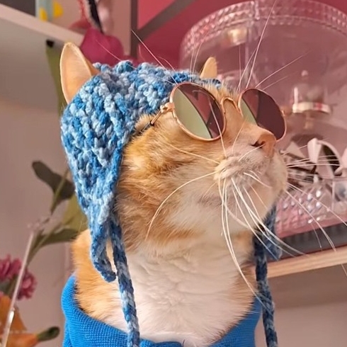 Potato土豆如何设置消息通知图标?状态栏个性化