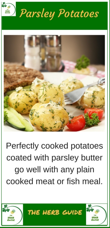 Potato土豆如何清理缓存?释放手机存储空间