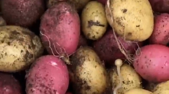 Potato土豆是否支持多账号切换?工作生活分离方案